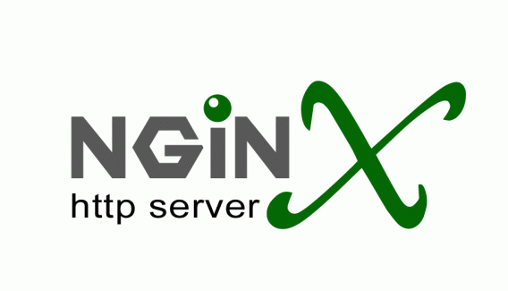 nginx 配置中发现的错误